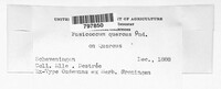 Image Associated With the Occurence